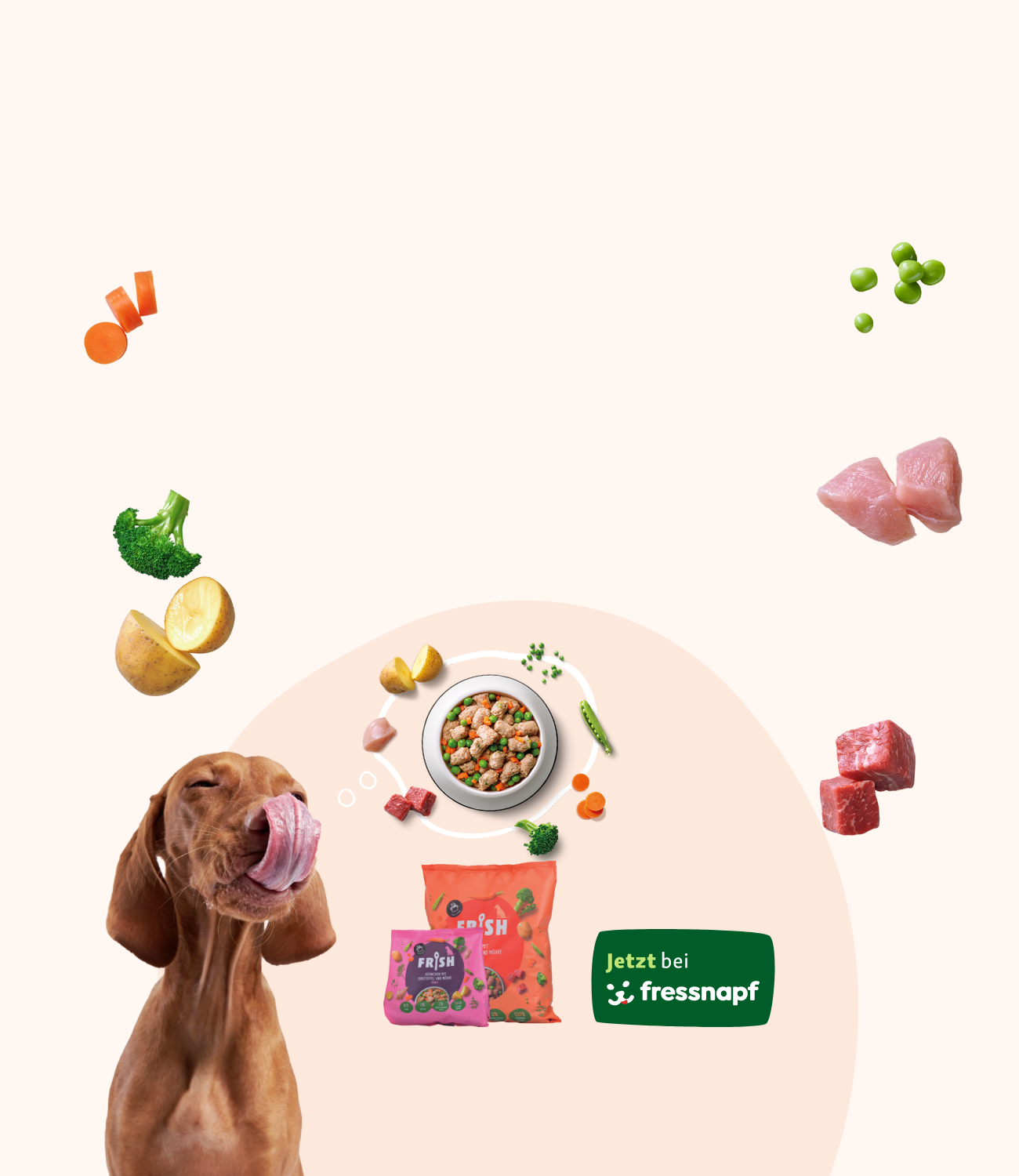 Hund, kartoffel, Brokkoli, Fleischstücke, Napf mit FRISH Hundefutter, FRISH Packung, Jetzt bei Fressnapf